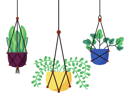 Benefits Of Having Houseplants